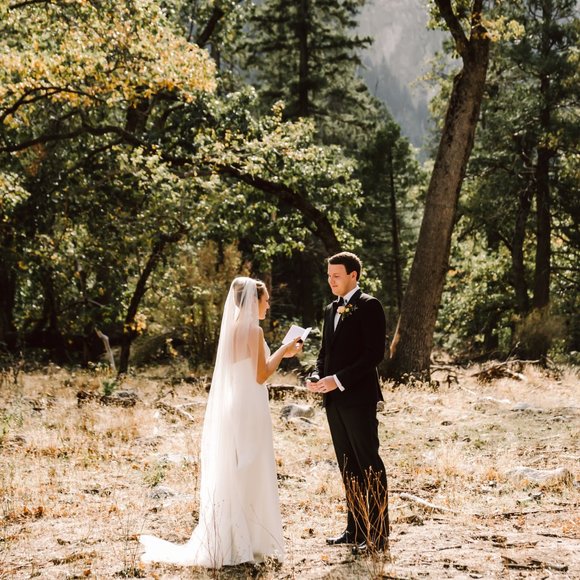 Petite BHLDN Willowby by Watters Brannox Wedding Gown - size 0/2 - Picture 3 of 14